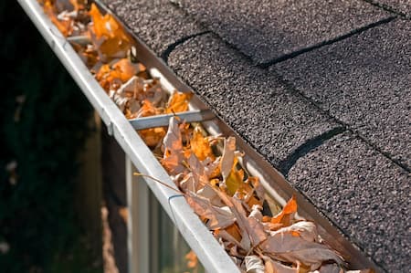 The Benefits of Hiring a Handyman for Gutter Cleaning & Repair